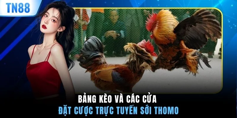 Bảng kèo và các cửa đặt cược trực tuyến sới Thomo