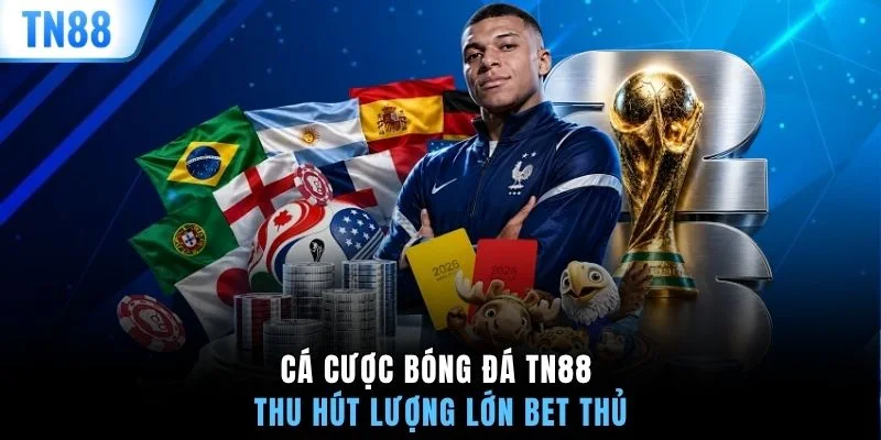 Cá cược bóng đá TN88 thu hút lượng lớn bet thủ