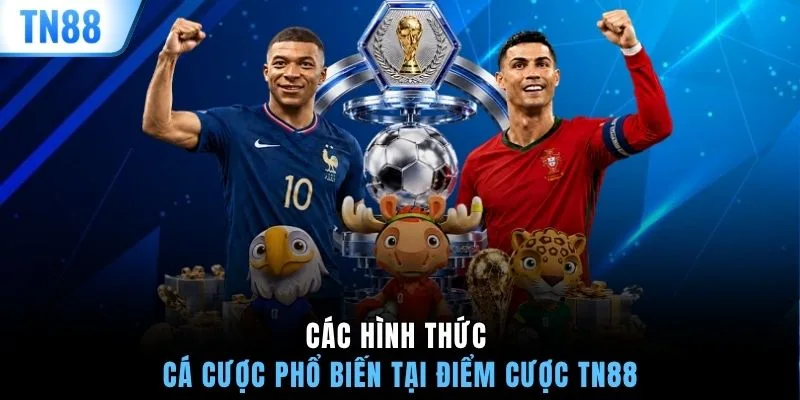 Các hình thức cá cược phổ biến tại điểm cược TN88