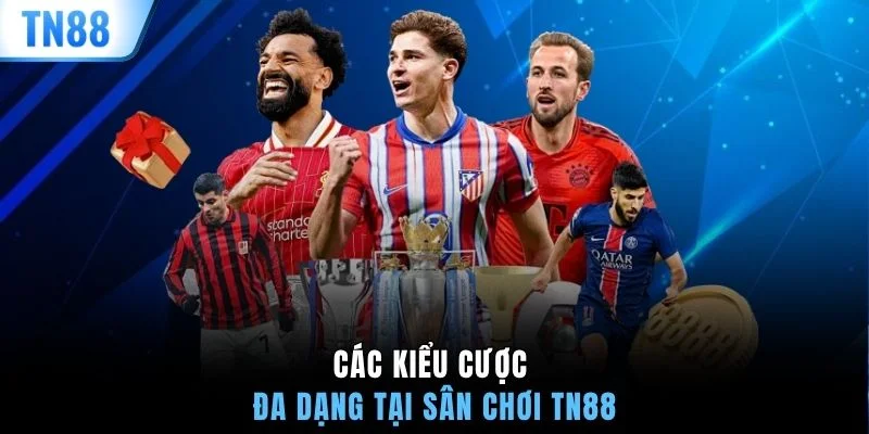 Các kiểu cược đa dạng tại sân chơi TN88