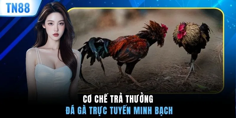 Cơ chế trả thưởng đá gà trực tuyến minh bạch