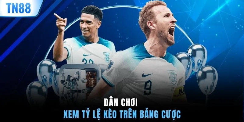 Dân chơi xem tỷ lệ kèo trên bảng cược