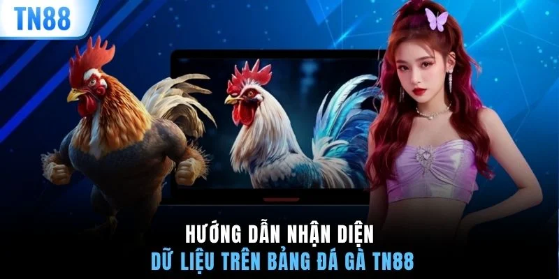 Hướng dẫn nhận diện dữ liệu trên bảng đá gà TN88
