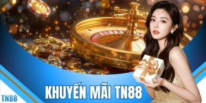 Khuyến Mãi TN88 - Điểm Danh 7 Ngày Nhận 350.000 VNĐ