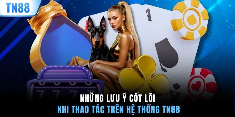 Những lưu ý cốt lõi khi thao tác trên hệ thống TN88