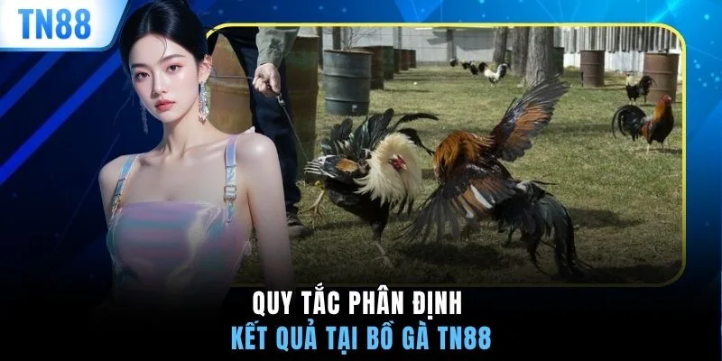 Quy tắc phân định kết quả tại bồ gà TN88