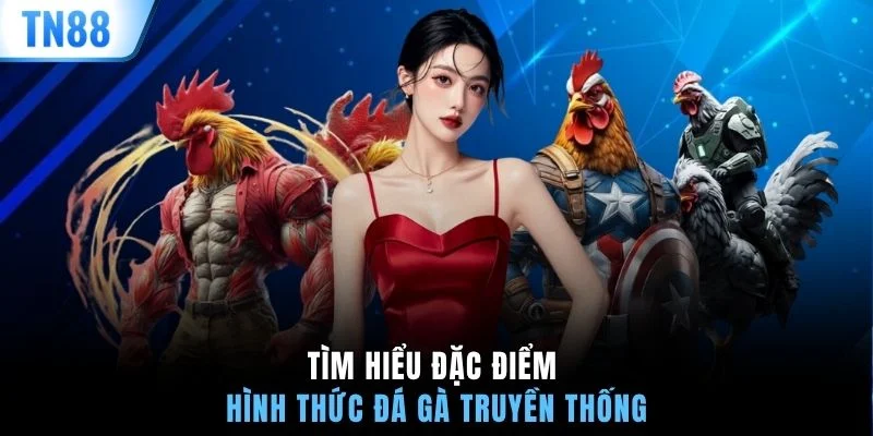 Tìm hiểu đặc điểm hình thức đá gà truyền thống