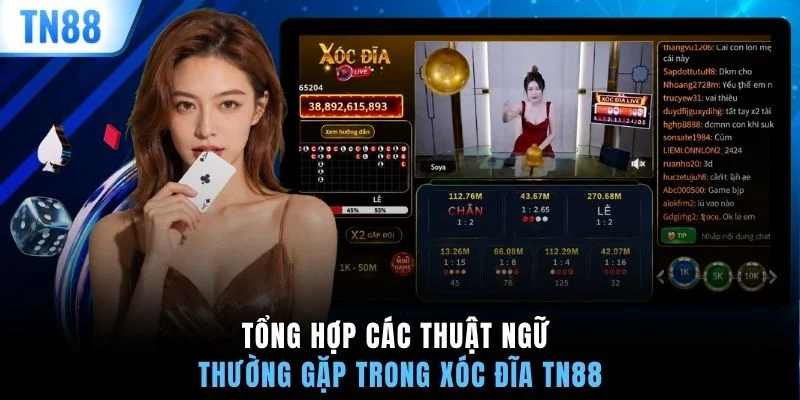 Tổng hợp các thuật ngữ thường gặp trong Xóc Đĩa TN88