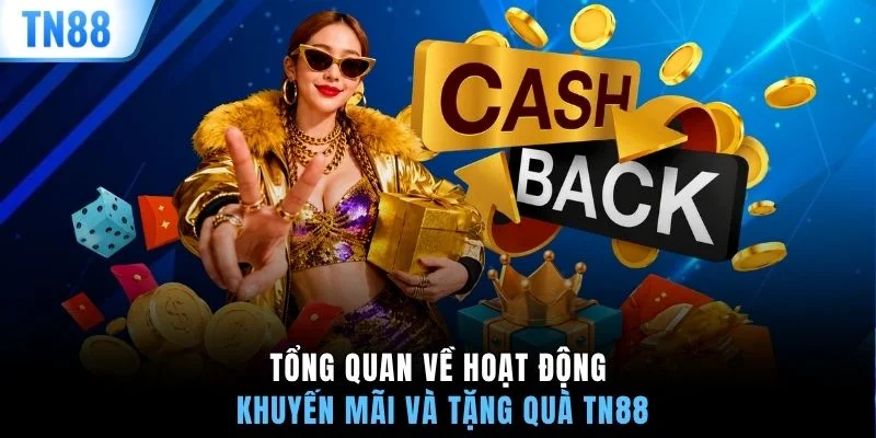 Tổng quan về hoạt động khuyến mãi và tặng quà TN88