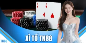 Xì Tố TN88 - 5 Lá Bài Mở Màn Đấu Trí Căng Từng Vòng